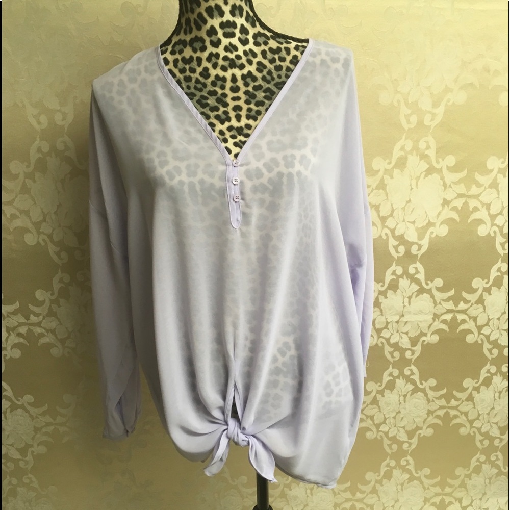 Sheer Blouse - image 1